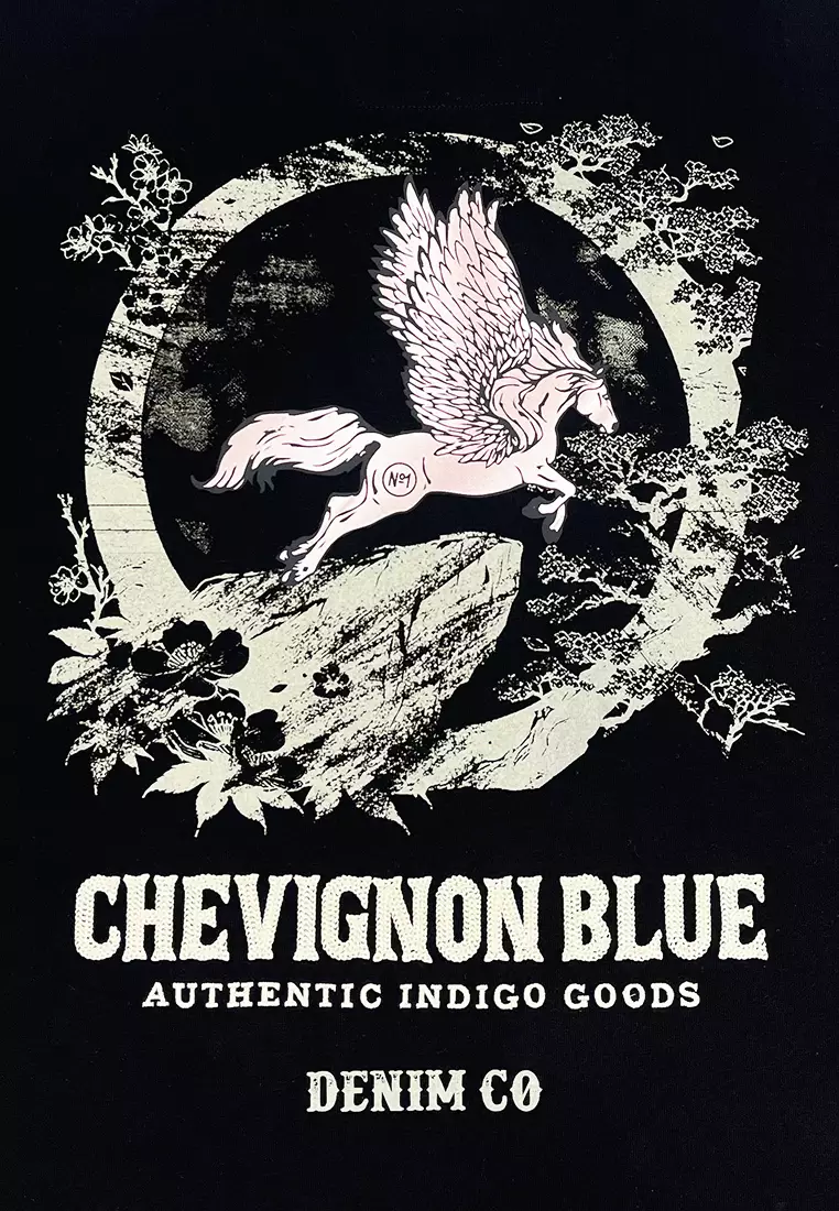 新春開運 男女適穿 V57飛馬印花寬鬆短袖T恤