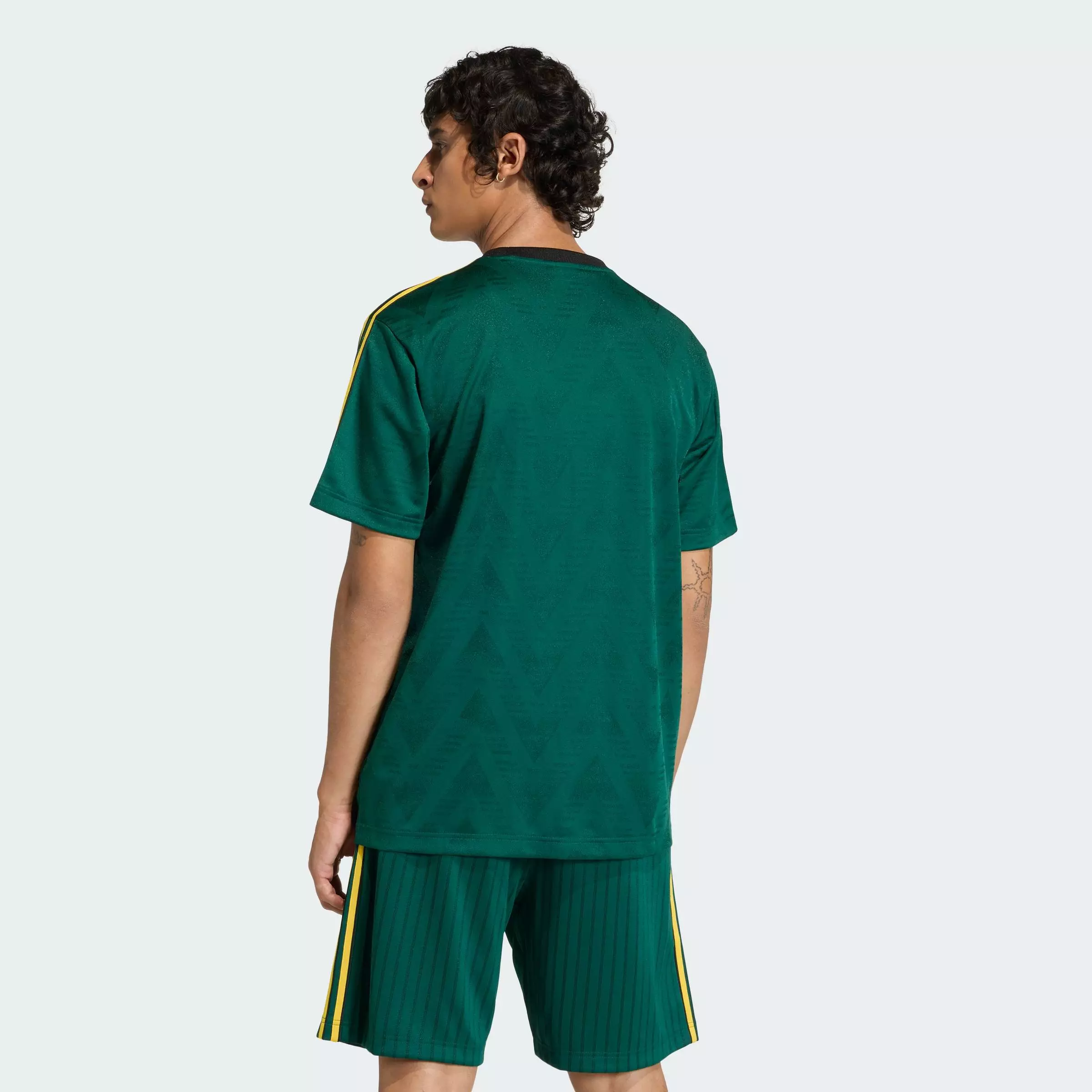 Lifestyle JACQUARD JERSEY Men Green KE3337