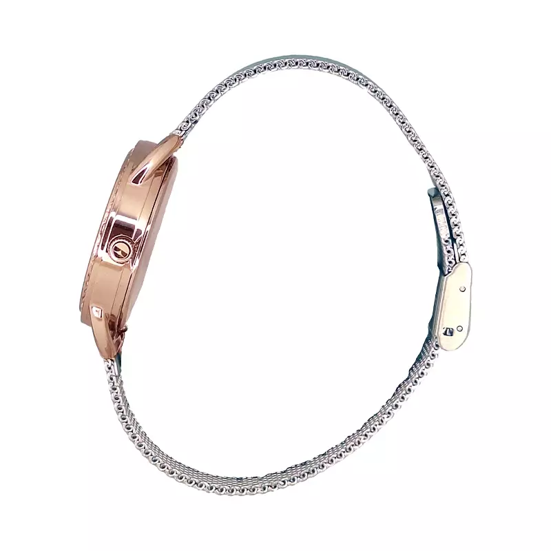 Jam Tangan Wanita ELLE EL005-1RG02M02