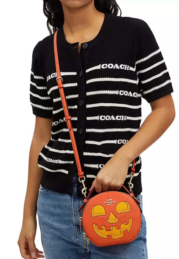 Coach canteen clearance purse