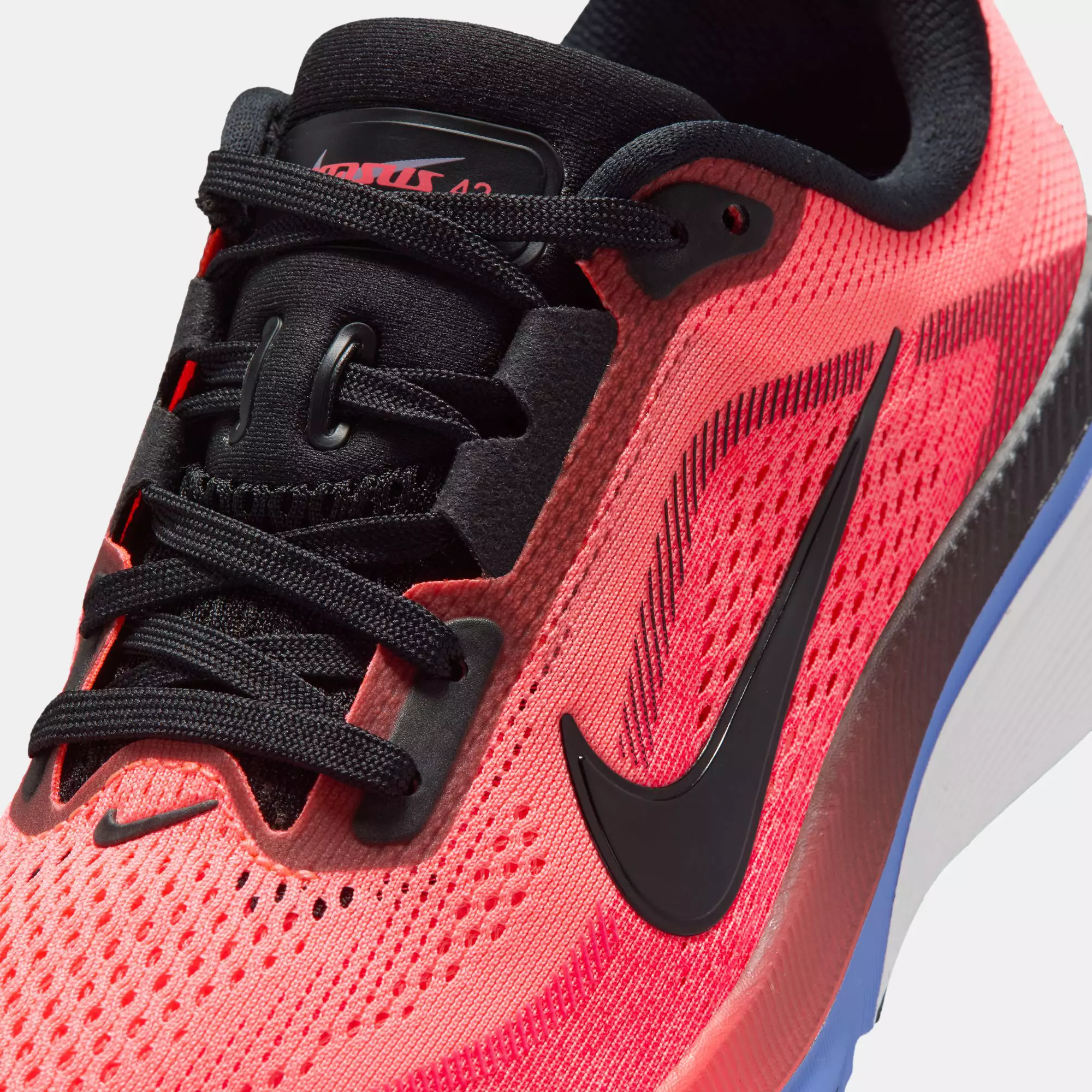 Pegasus 42