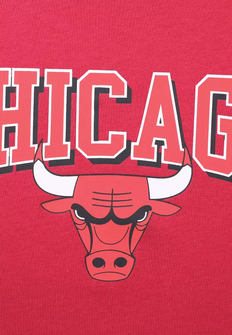 Crop Top Team Logo Print Chicago Bulls Womens Boxy
