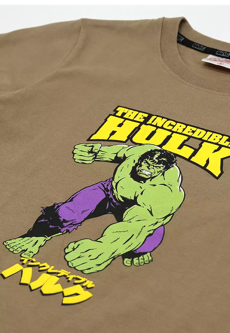 Boys Licensed Graphic T-Shirt The Hulk Japanese Characters