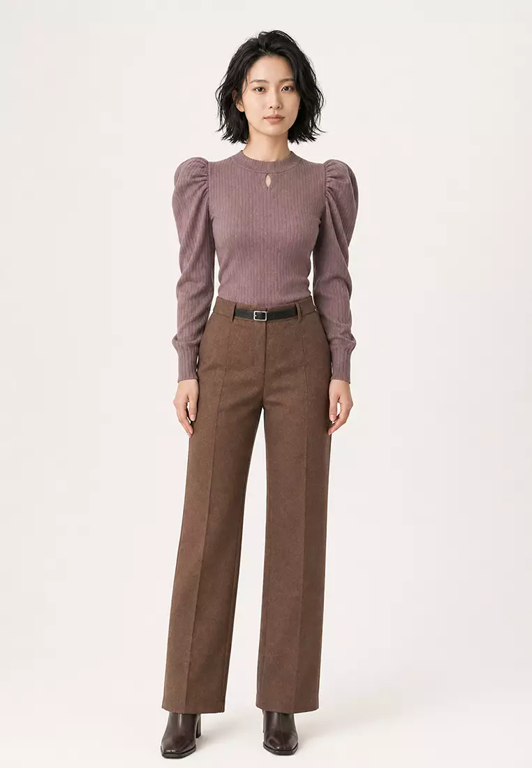 Long Puff Sleeves Top