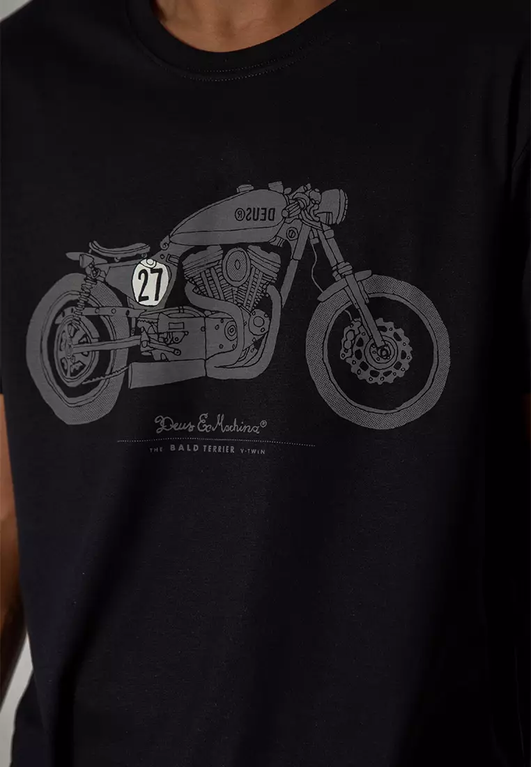 Bald Terrier V-Twin OG