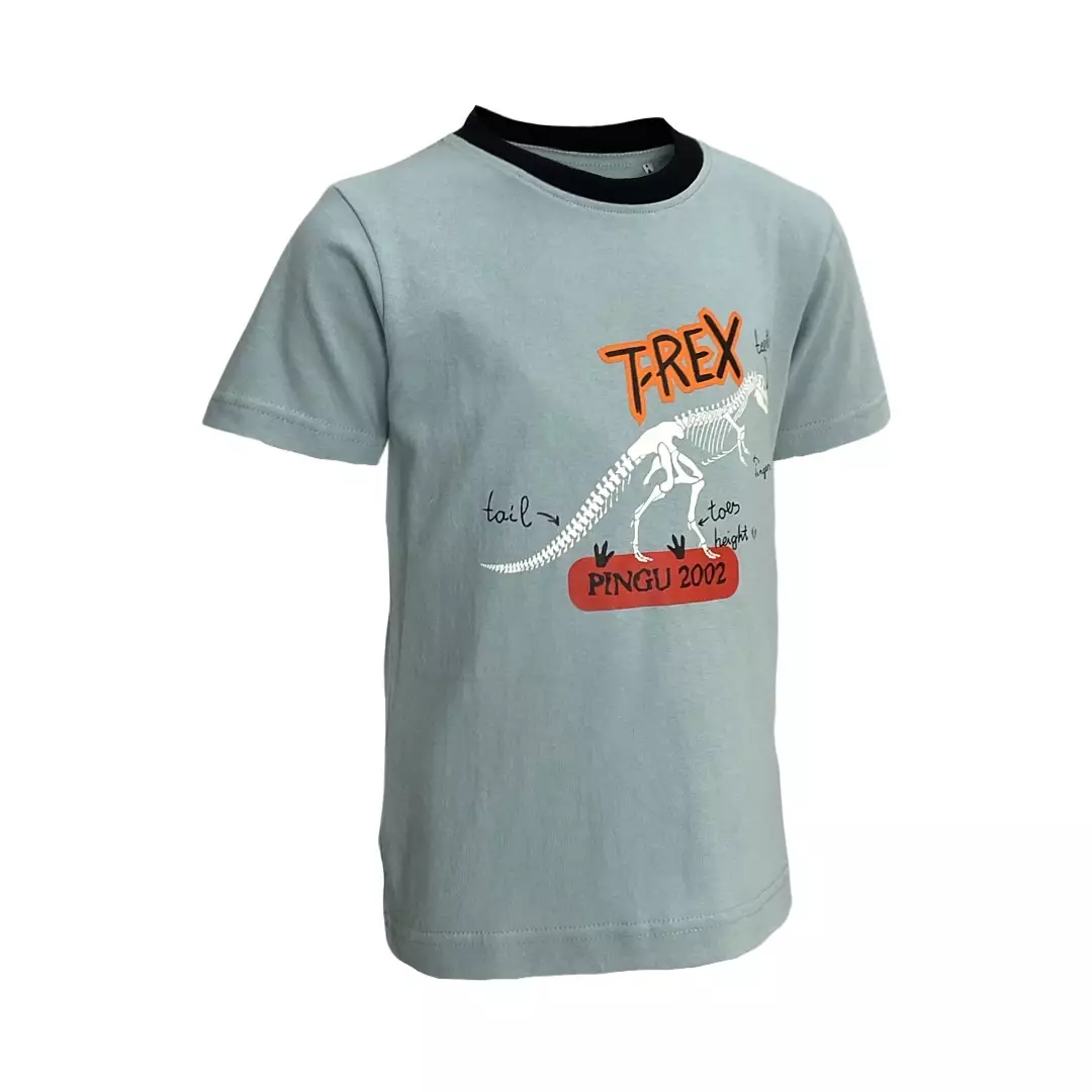 Pingu Kaos Anak Laki Laki Sablon T-Rex Tosca 92002427