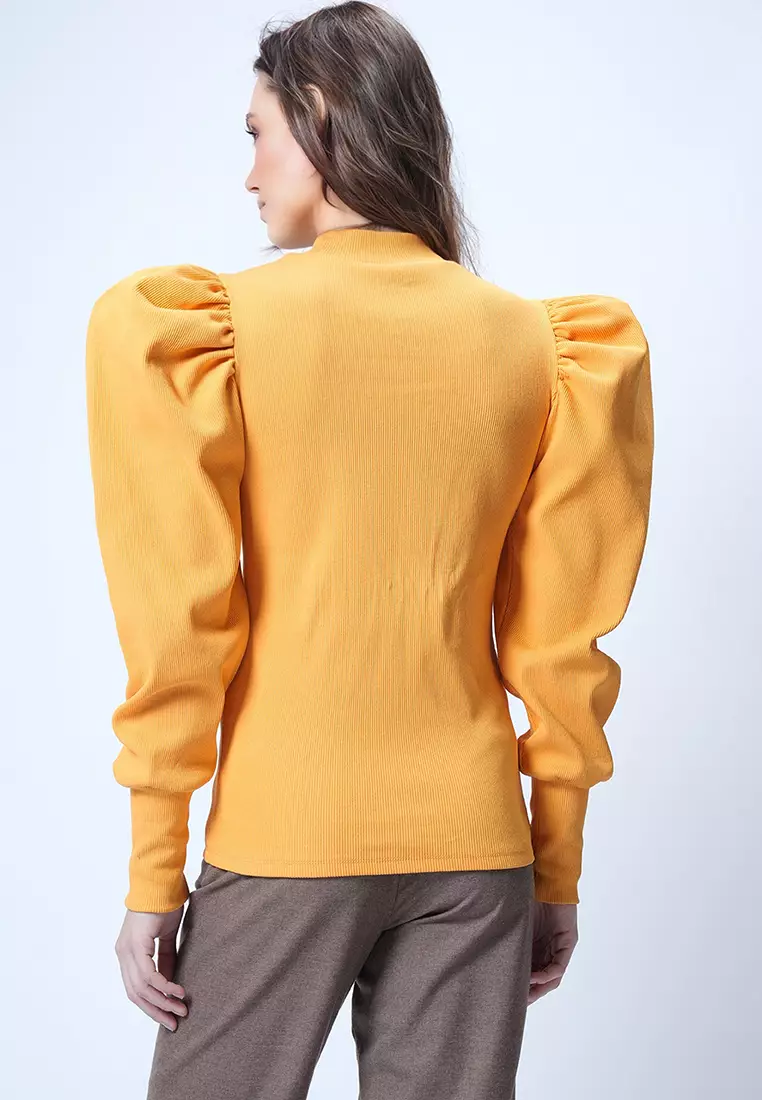 Long Puff Sleeves Top