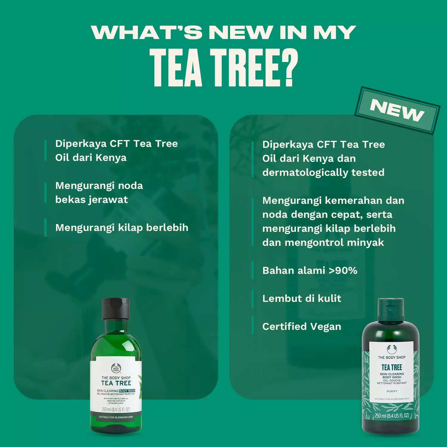 Tea Tree Body Wash 250ml