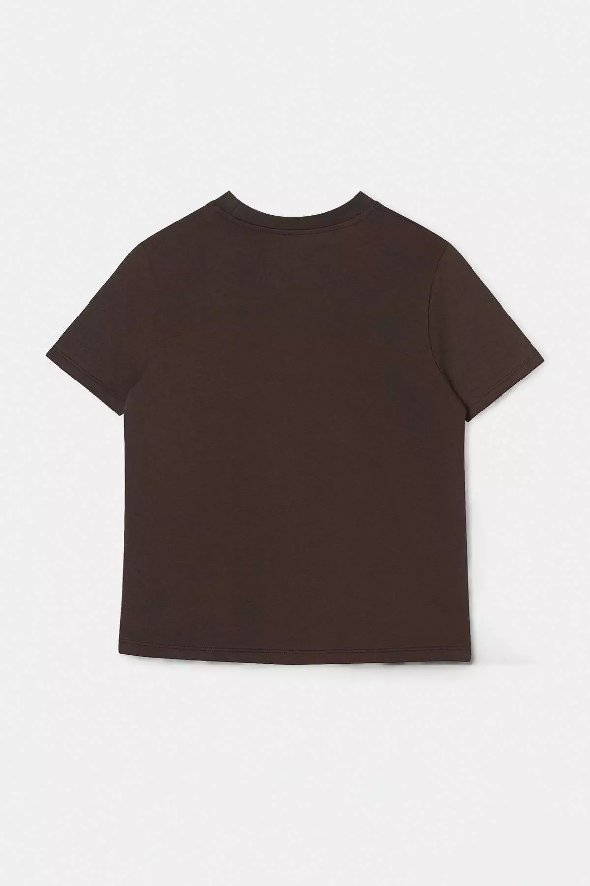 Brown Embroidered Regular Fit Short Sleeve 100% Cotton Knitted T-Shirt Twoss26Ts00124