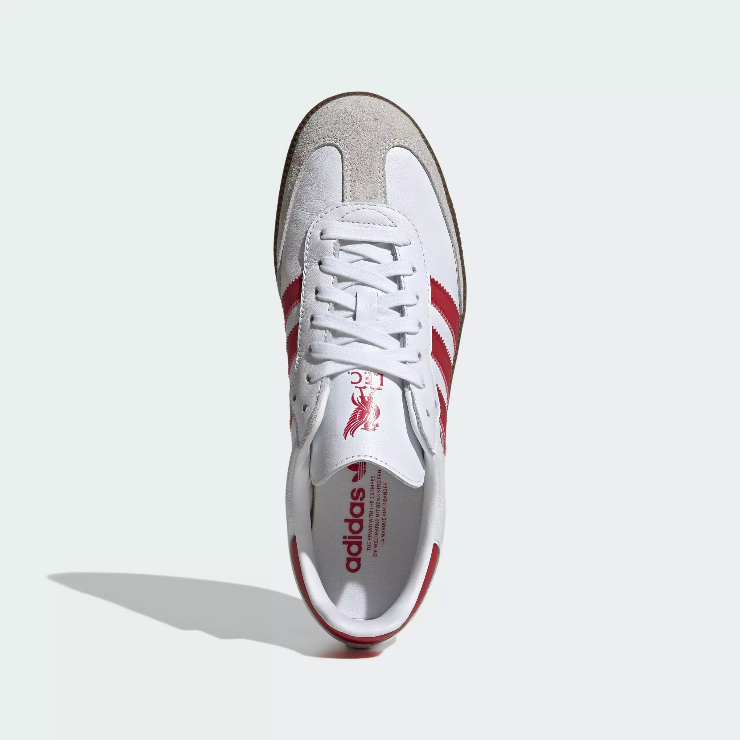Buy ADIDAS Football Samba Liverpool FC Shoes Unisex White JQ4041