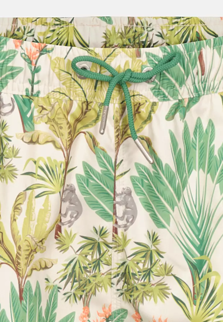 Multıcolor Shorts, Regular Leg, Swimwear for Men