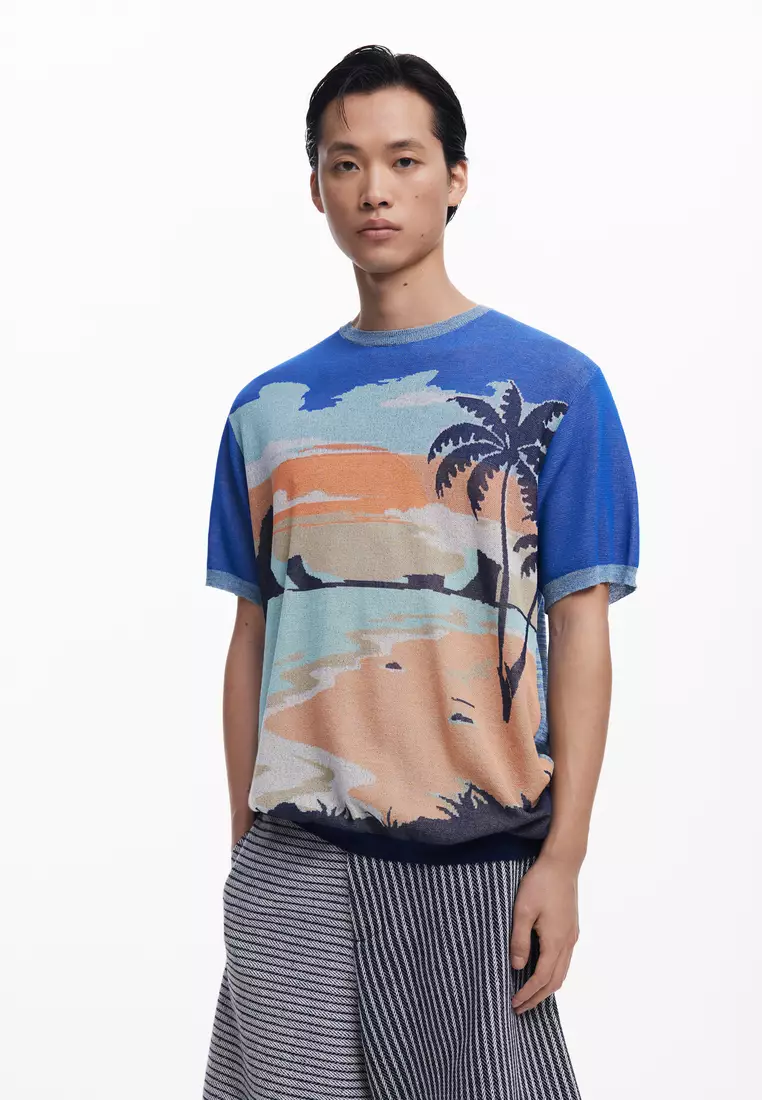 Desigual Men's T-Shirts