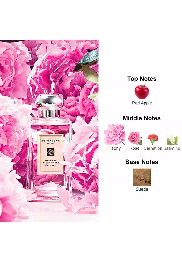 Buy Jo Malone Decant 100 Original Jo Malone Peony Blush Suede