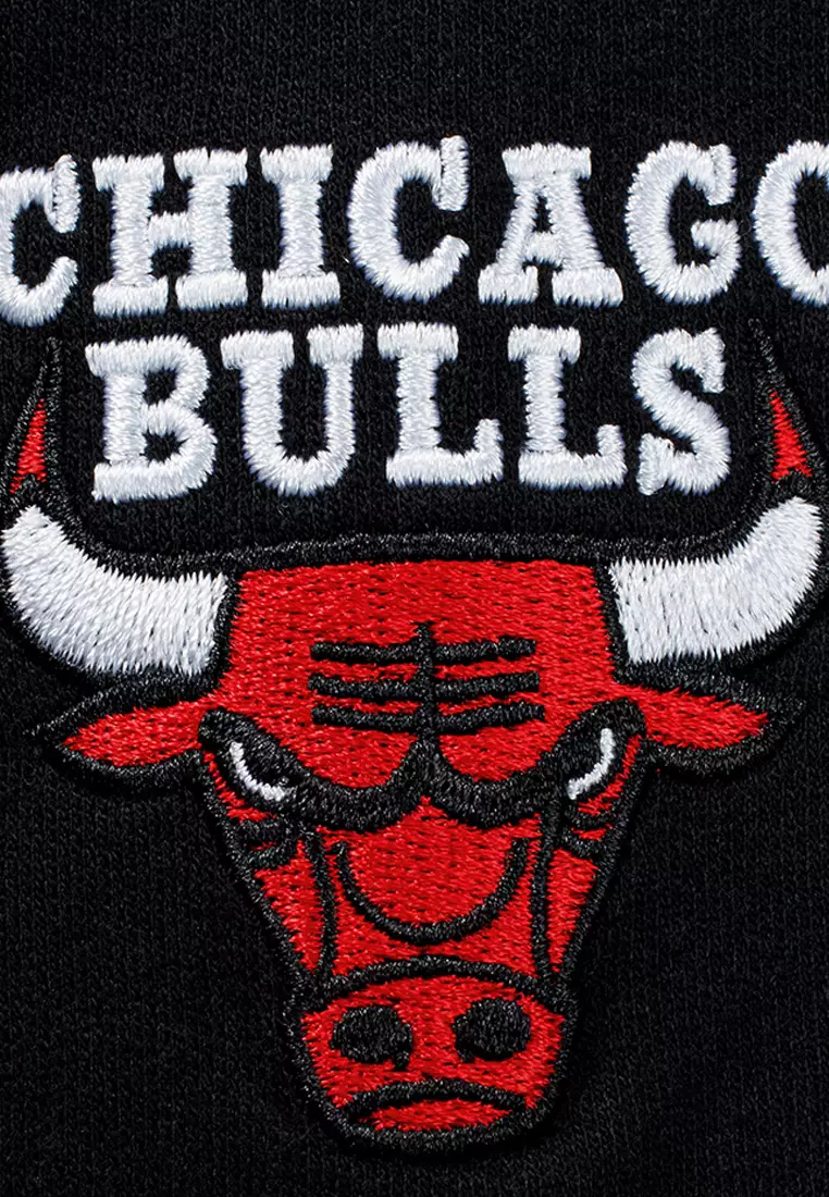 Basics Primary Logo Chicago Bulls Mens Hoodie