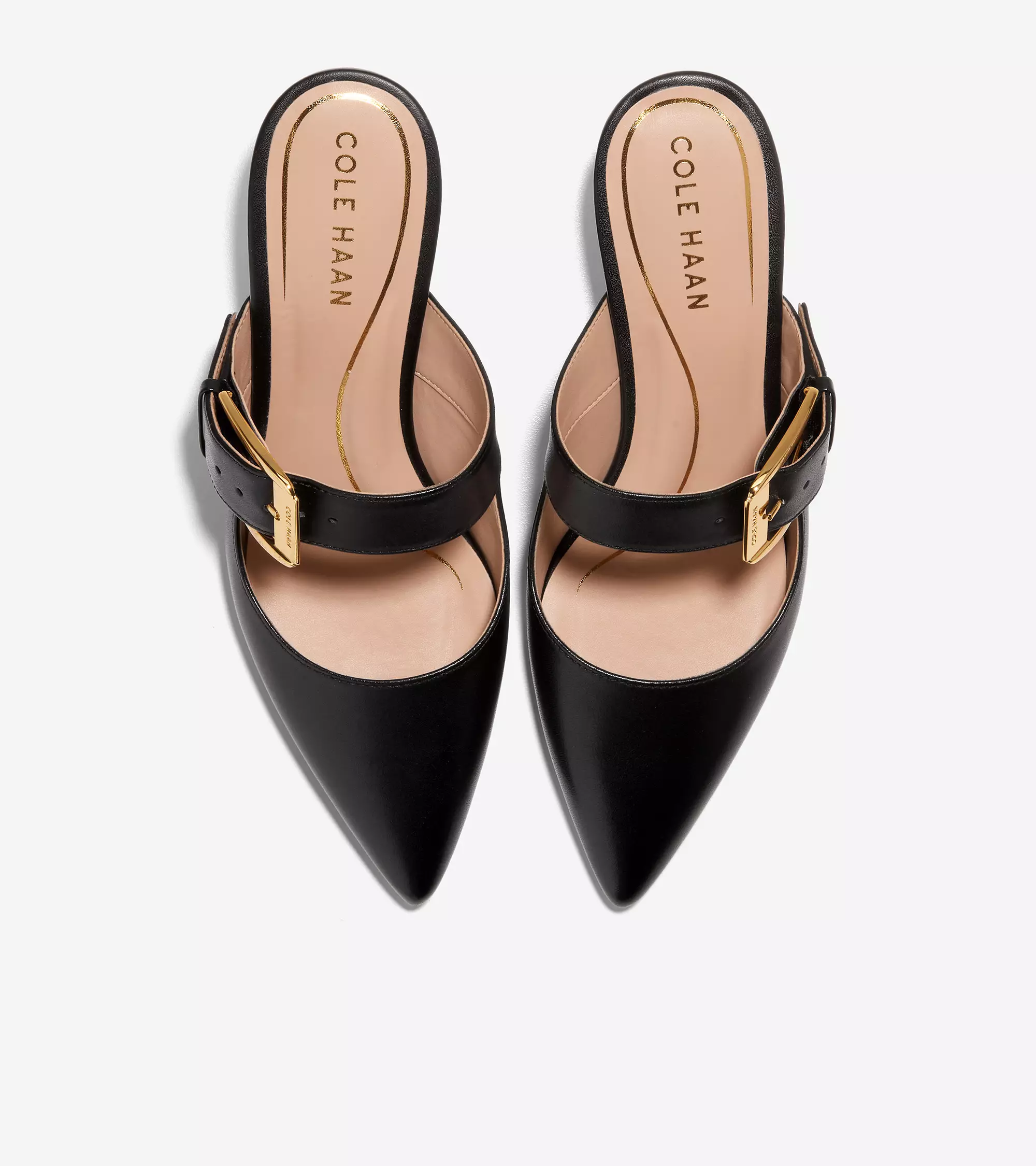 Jual Cole Haan Cole Haan Woman Vandam Buckle Mule 65Mm Sepatu Wanita