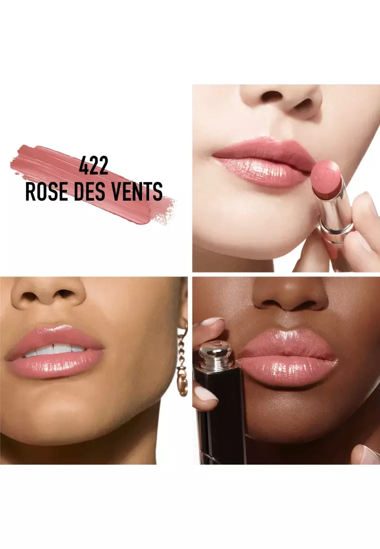 鏡光誘惑唇膏 3.2g #422 ROSE DES VENTS