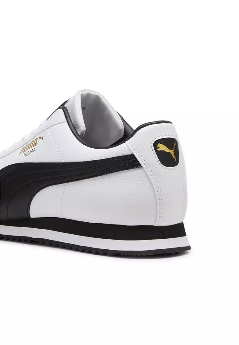 Roma 24 Standard
