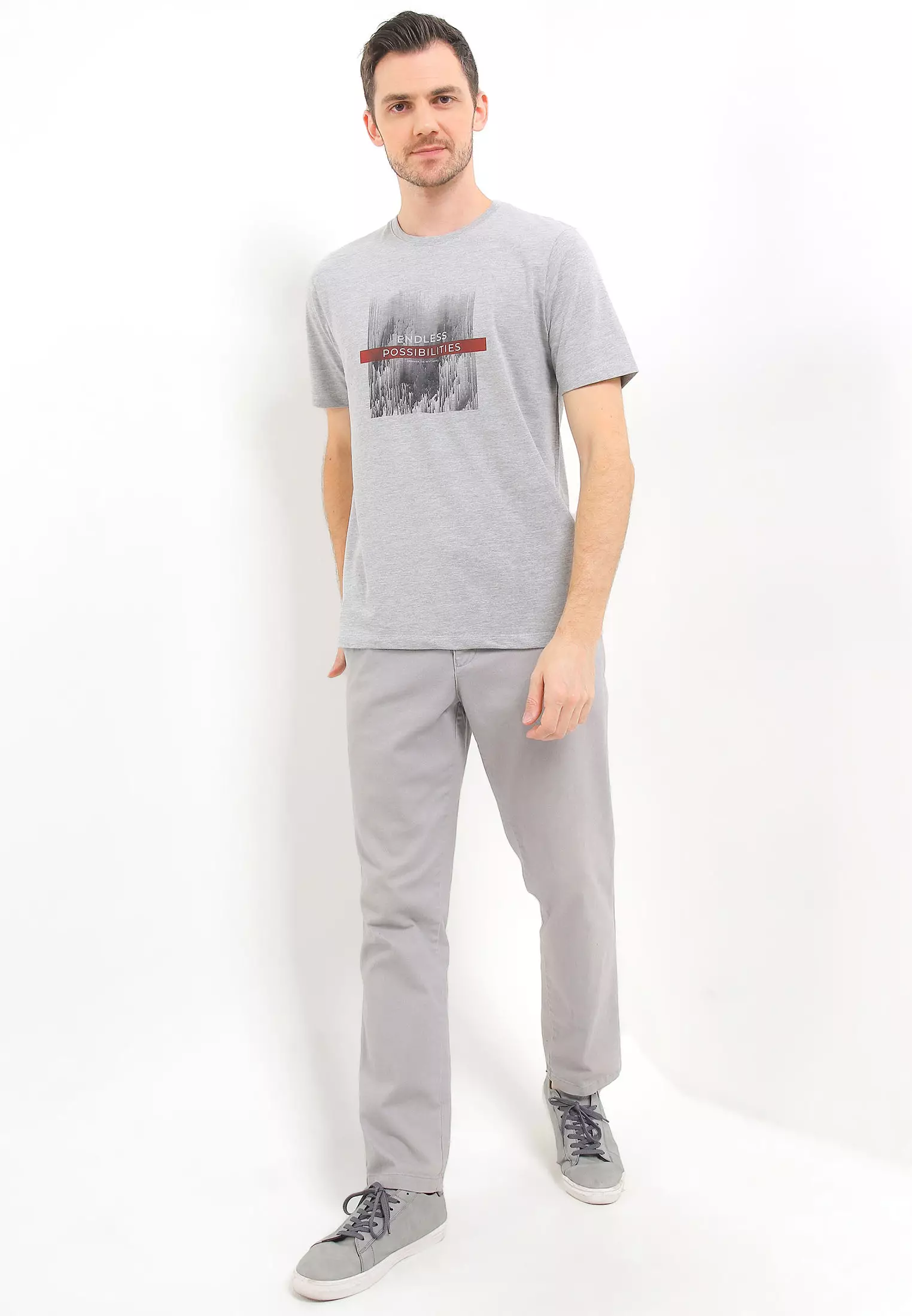 Cressida Regular Fit Graphic T-Shirt B010A - Grey