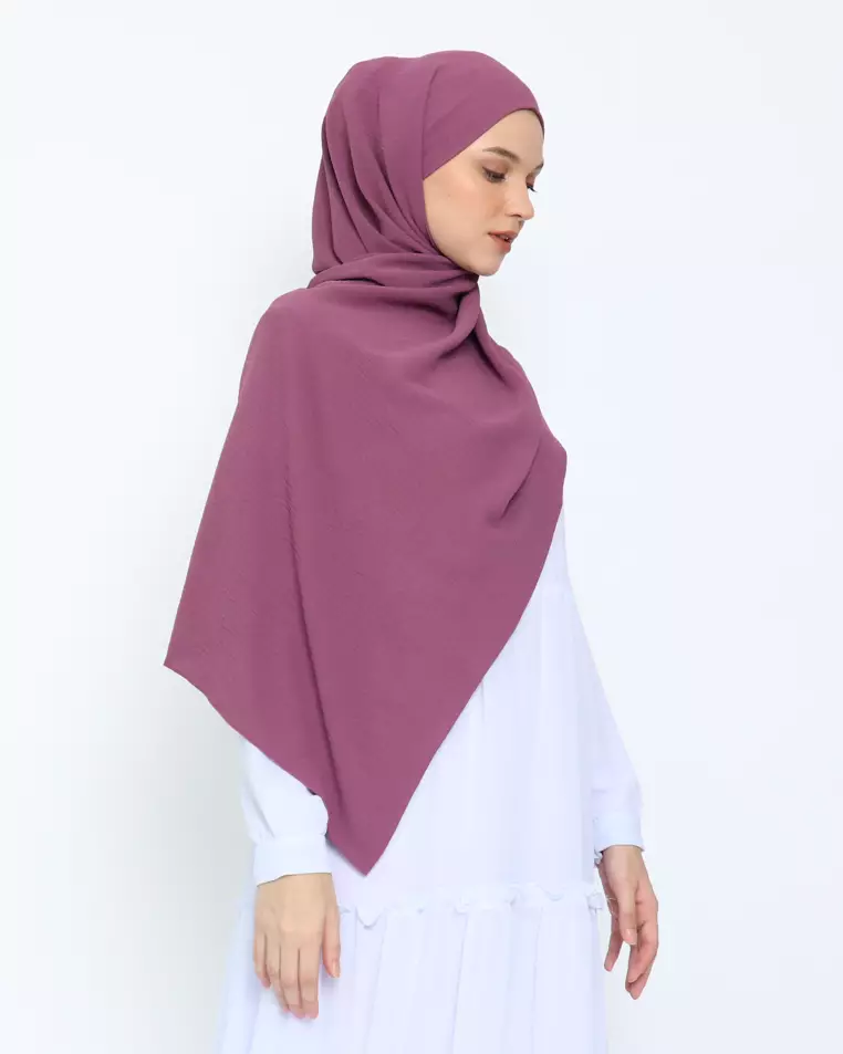 Zamia Pasmina Instan Orchid