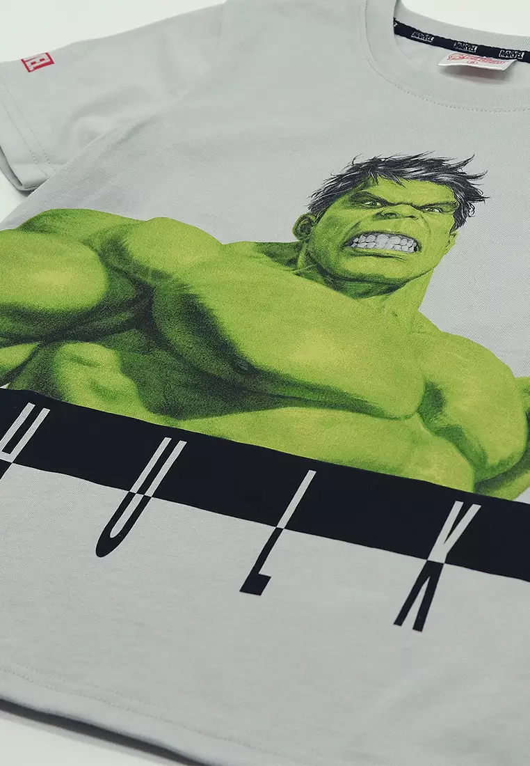 Boys Licensed Graphic T-Shirt The Hulk Sketch