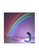 S&J Co. Dolphin Rainbow LED Projection Decorative Lamp - GREY 20051ESB10609AGS_2