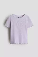 Lilac Purple Dusty Light