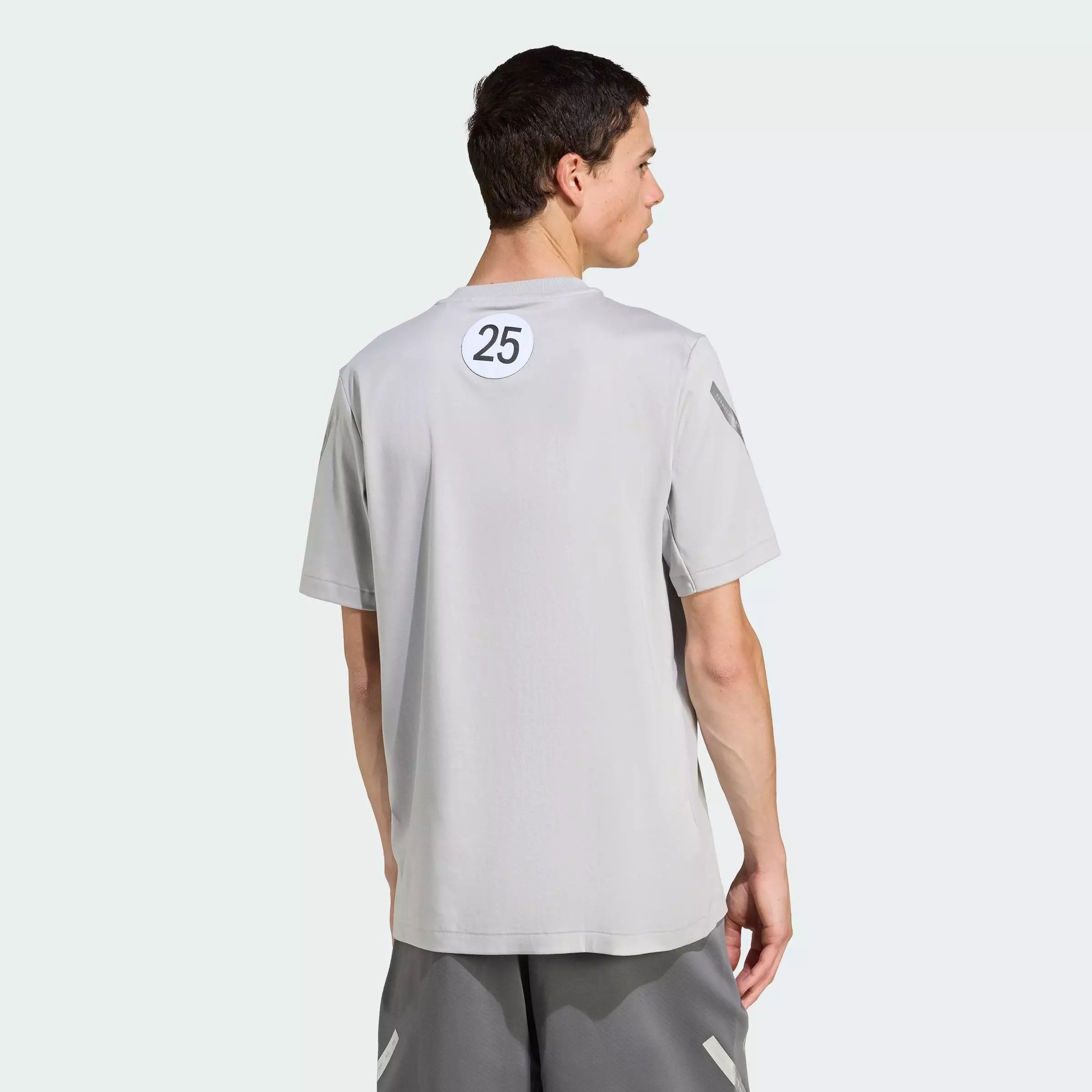 Motorsport Mercedes - AMG Petronas Formula One Team Silver Arrows Tee Men Grey JW3481