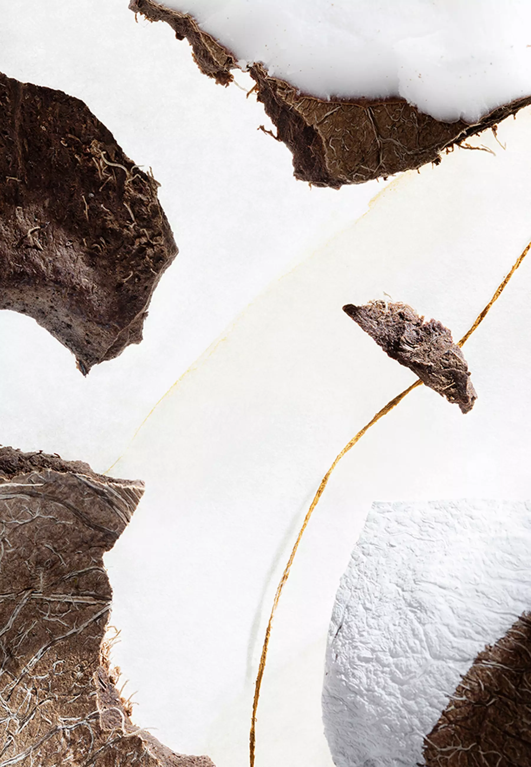 Perle de Coco Hand Lotion