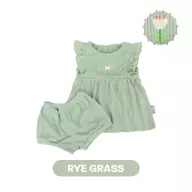Rye Grass