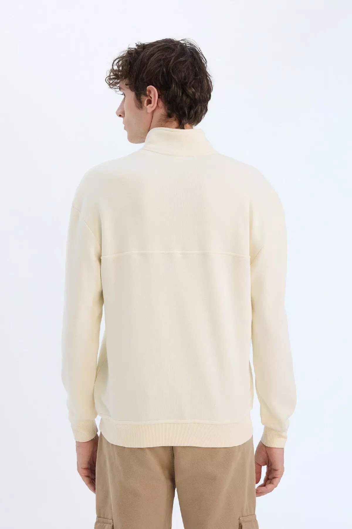 Relax Fit Stand Collar Zippered Basic Plain Thick Sweatshirt