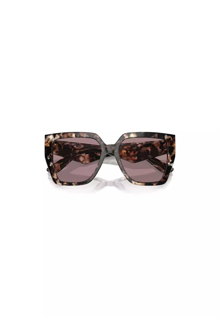 Women's Square Frame Light Brown Acetate Sunglasses - DG4438