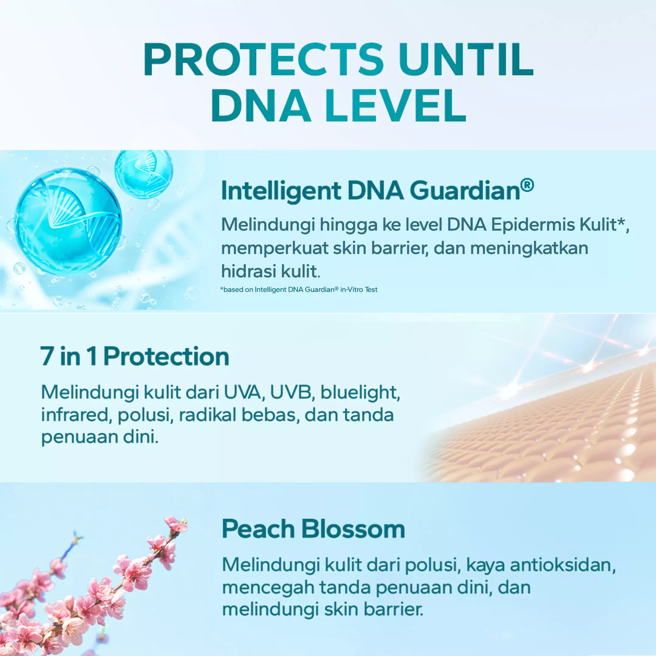 AMATERASUN [REAL SPF Certified] Transparent Sunscreen Moisturizer SPF 43 PA+++