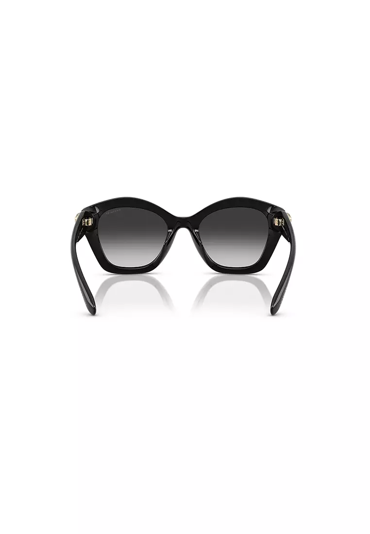 Women's Irregular Frame Black Injected Sunglasses - HC8421U
