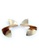 BELLE LIZ gold Gold Twist Earrings B2D59AC86631C2GS_1
