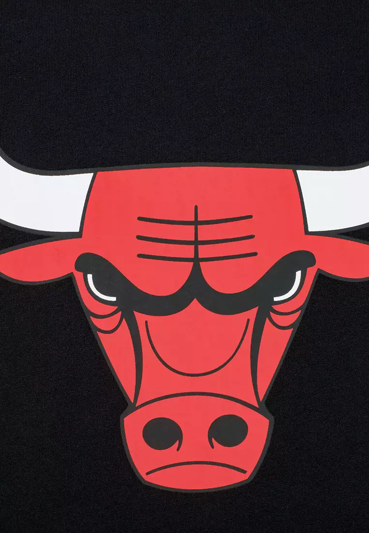 Basics Primary Logo Chicago Bulls Mens Hoodie