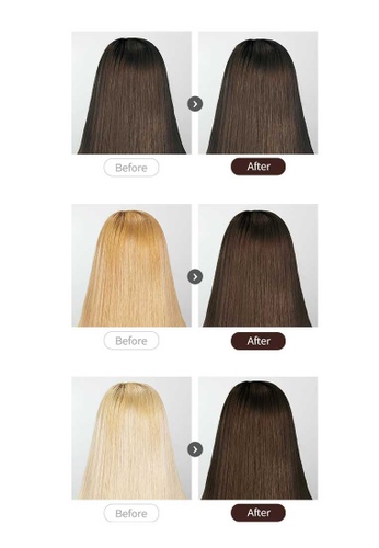 eZn eZn Pudding Hair Color Warm Mocha Brown (70 ml) - Self Hair Dye DIY Kit  Made in Korea | ZALORA Philippines