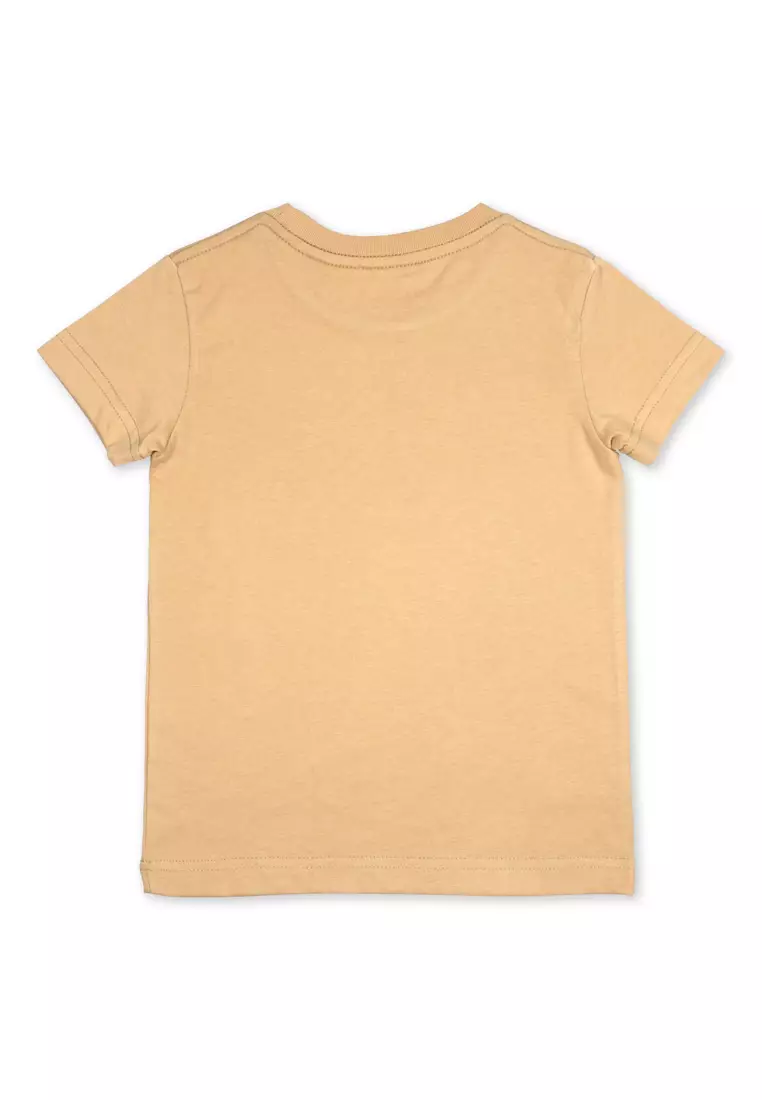 Boys T-Shirt With Print Details