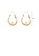 Glamorousky white Simple Personality Plated Gold U-Shaped Geometric Earrings with Imitation Pearls 71CA4AC4D1F1D9GS_2