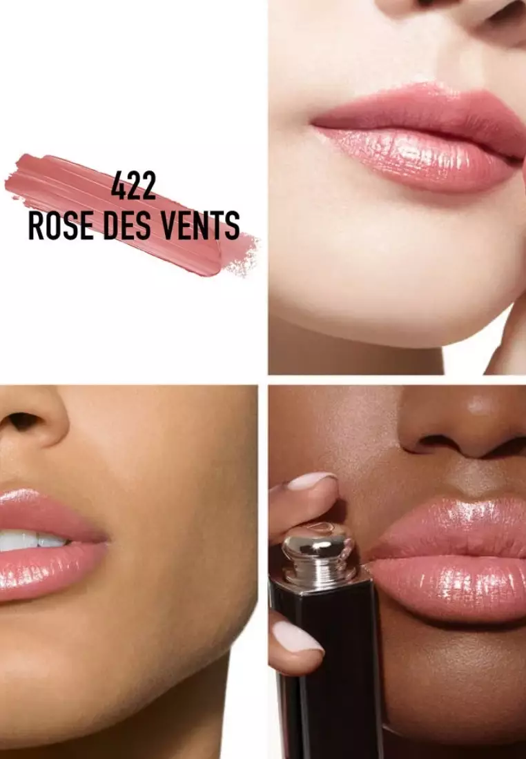 Addict Hydrating Shine Lipstick 422 Rose des Vents 3.2gr