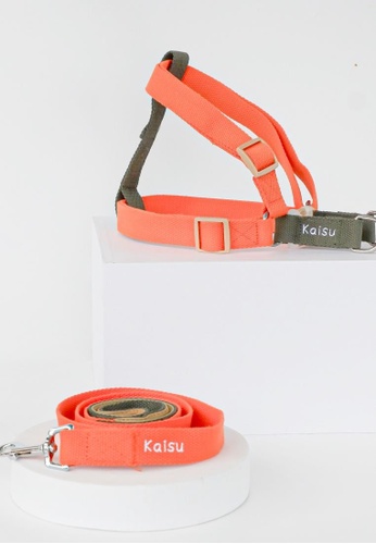 KAISU orange and green Kaisuph Fruity Pop Collection Adventure Set: Adjustable Harness, Collar, And Leash In Tangerine Large 77622ES203F29CGS_1
