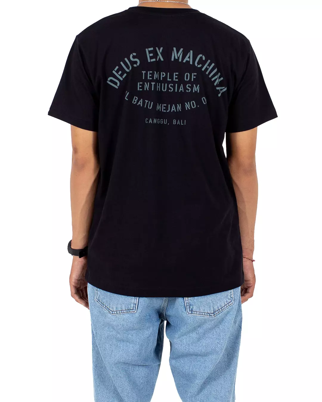 Bald Terrier V-Twin OG