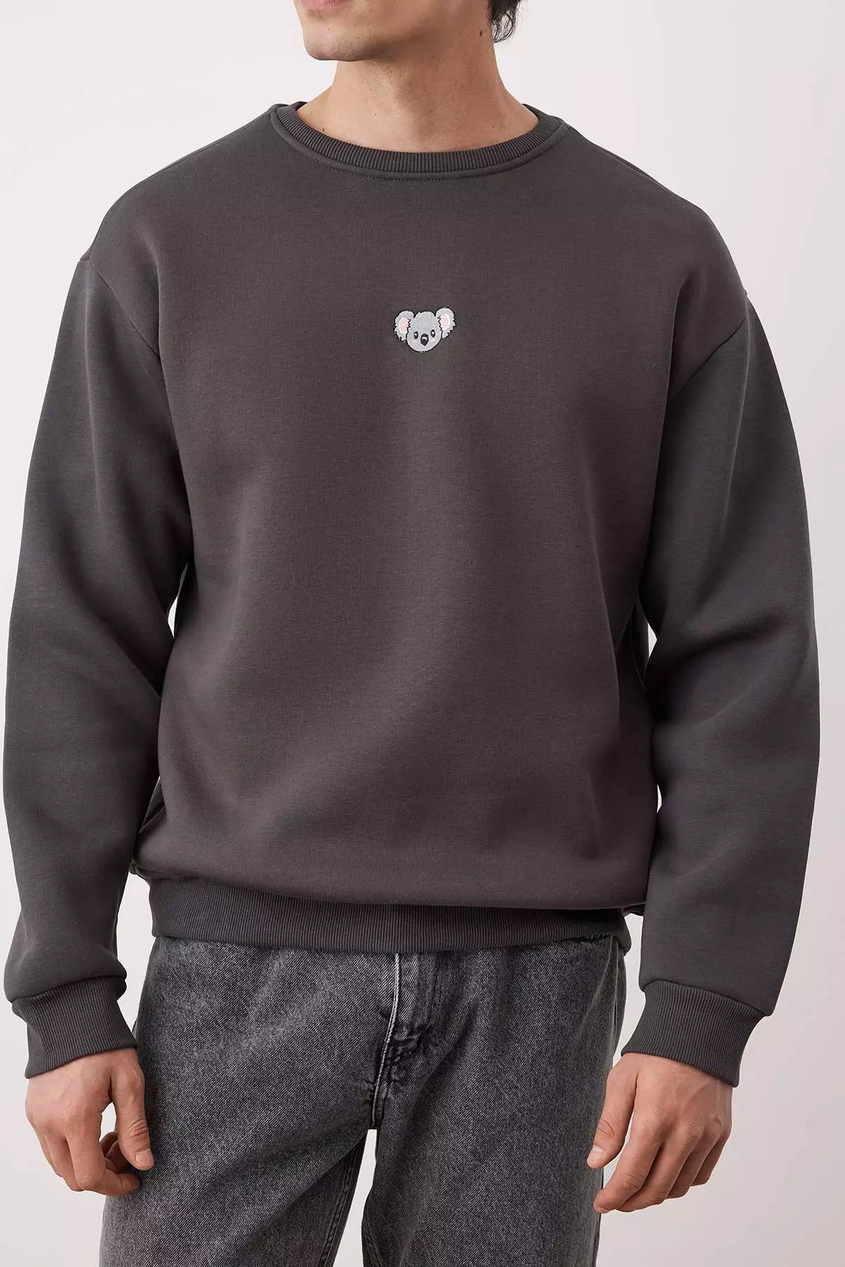Anthracite Crew Neck Oversize/Wide Cut Polar Fleece Inside Penguin Embroidery Sweatshirt