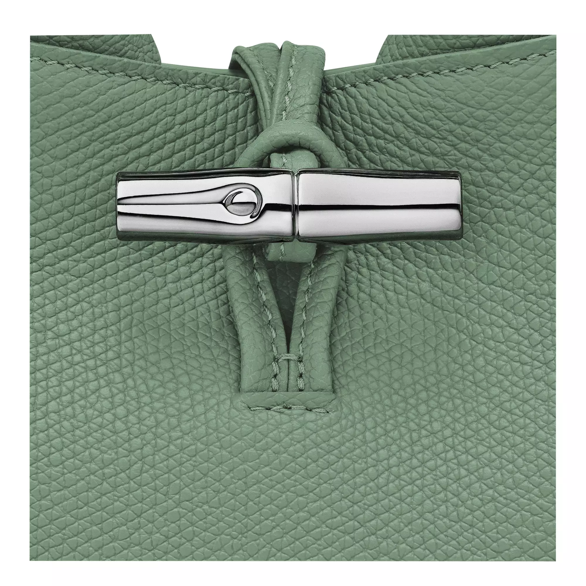 Le Roseau XS Handbag in Leather - Green Oregano