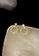 ZITIQUE gold Women's Diamond Embedded Dragonfly Ring Earrings - Gold 2DD64ACD9E60CEGS_3