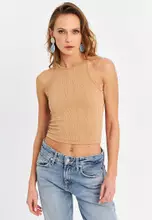 Camel