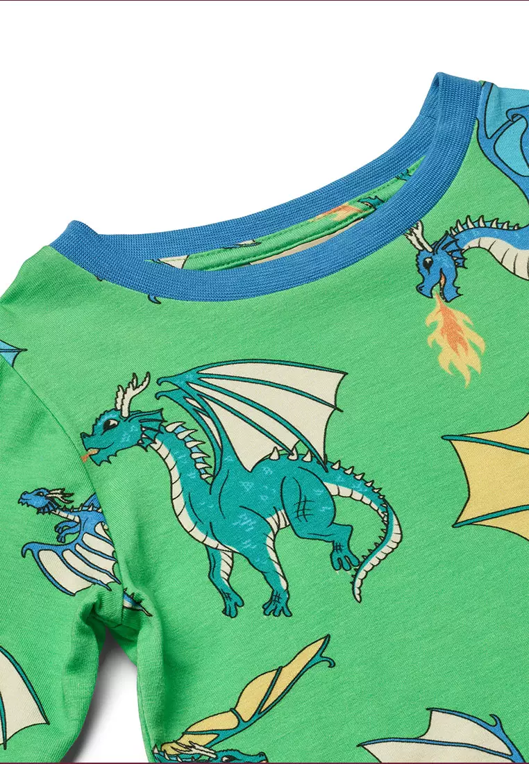 Long-sleeved top with flying dragons