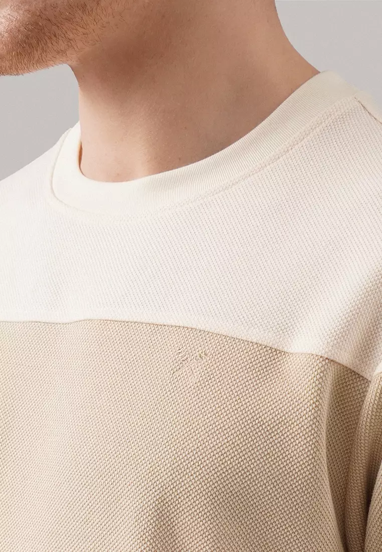 Regular Fit Color-Block Cut & Sew T-Shirt In Honeycomb Pique