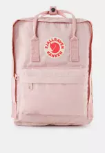 Chalk Rose