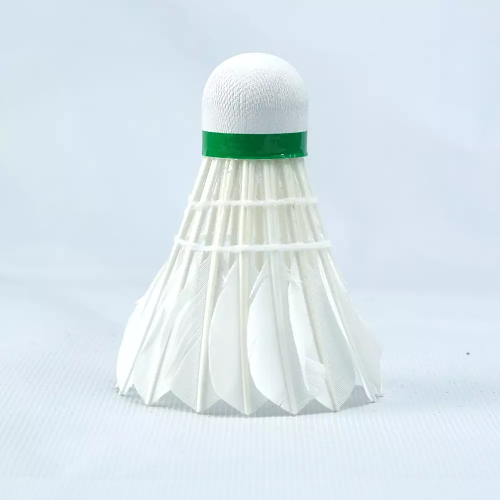 Eagle Shuttlecock Badminton Lite - HIJAU/BIRU