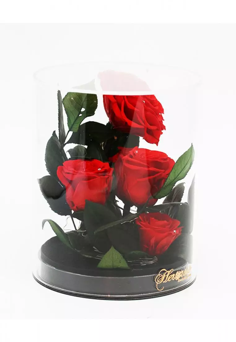 Her Jewellery Her Rose - Everlasting Preserved Rose - Romance Love (Black leather Red Rose)